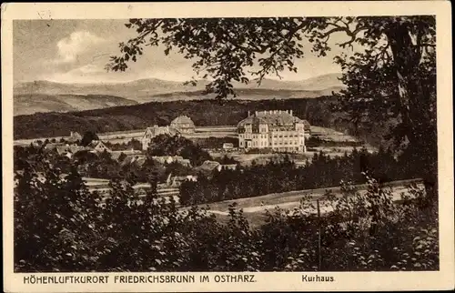Ak Friedrichsbrunn Thale im Harz, schöne Detailansicht