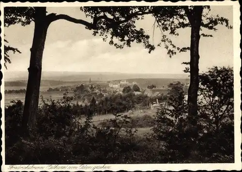 Ak Friedrichsbrunn Thale im Harz, schöne Detailansicht