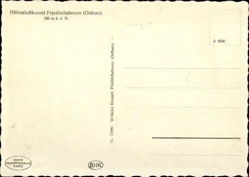 Ak Friedrichsbrunn Thale im Harz, schöne Detailansicht