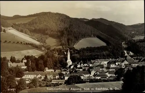 Ak Aspang in Niederösterreich, schöne Detailansicht