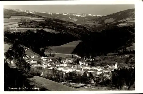 Ak Aspang in Niederösterreich, schöne Detailansicht