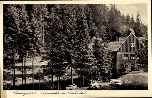 Ak Horn Bad Meinberg im Kreis Lippe, Waldgaststätte Kattenmühle, Bes. A. Senger