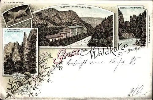Vorläufer Litho Thale im Harz, Gruß vom Waldkater, Altes Relief, Hirschgrund