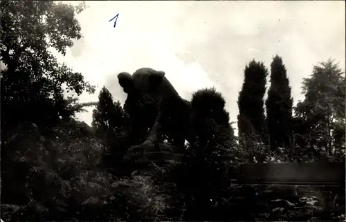 Ak Grillenburg Tharandt im Erzgebirge, Blick zur Wildschwein Statue