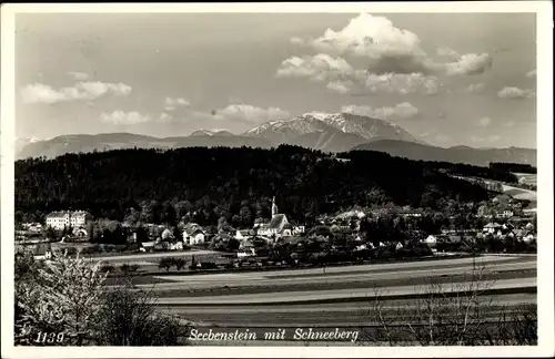 Ak Seebenstein in Niederösterreich, schöne Detailansicht