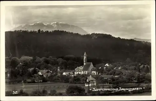 Ak Seebenstein in Niederösterreich, schöne Detailansicht