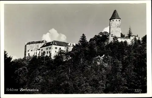 Ak Seebenstein in Niederösterreich, schöne Detailansicht