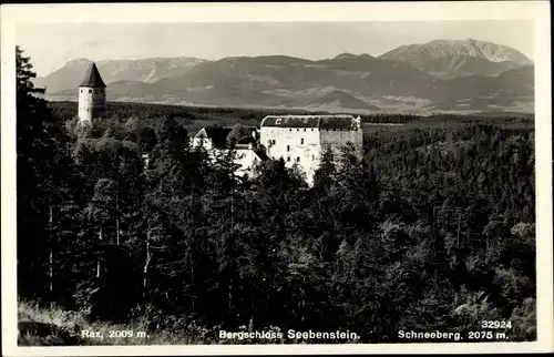 Ak Seebenstein in Niederösterreich, schöne Detailansicht