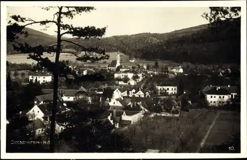 Ak Seebenstein in Niederösterreich, schöne Detailansicht