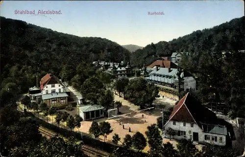 Ak Alexisbad Harzgerode in Sachsen Anhalt, schöne Detailansicht