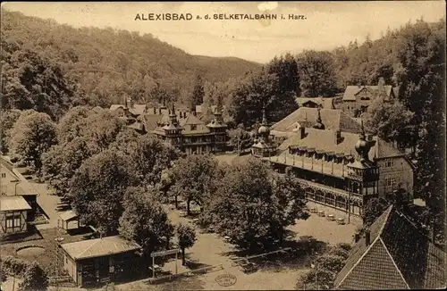 Ak Alexisbad Harzgerode in Sachsen Anhalt, schöne Detailansicht