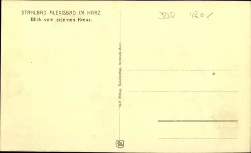 Ak Alexisbad Harzgerode in Sachsen Anhalt, schöne Detailansicht
