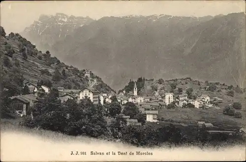 Ak Salvan Kt. Wallis Schweiz, Dent de Morcles, Blick auf Ortschaft und Umgebung