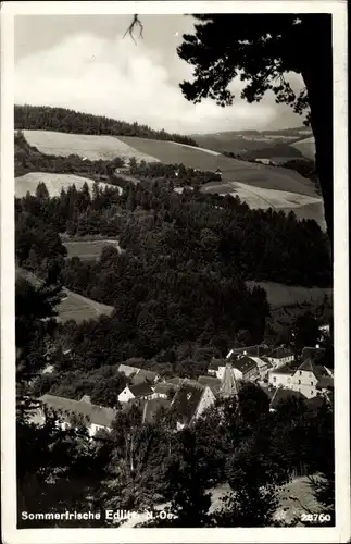 Ak Edlitz in Niederösterreich, schöne Detailansicht