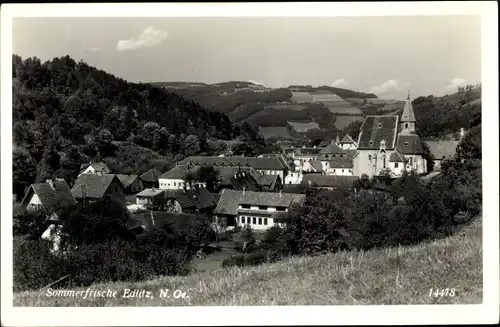 Ak Edlitz in Niederösterreich, schöne Detailansicht