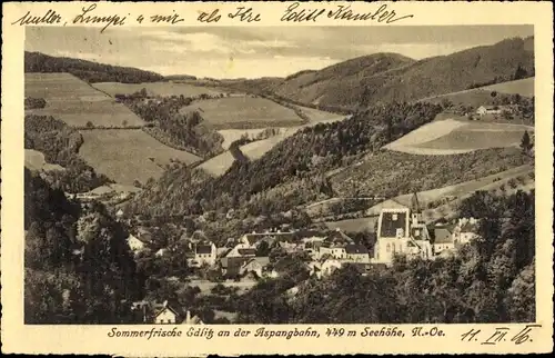 Ak Edlitz in Niederösterreich, schöne Detailansicht