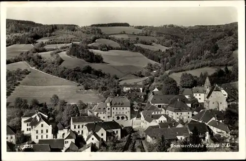 Ak Edlitz in Niederösterreich, schöne Detailansicht