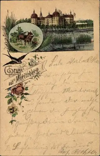 Vorläufer Litho Moritzburg in Sachsen, Jagdschloss, Rehe