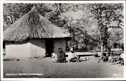 Ak Peaceful Native Homestead, Afrikanisches Wohnhaus, strohgedeckte Hütte, Familie, Kinder