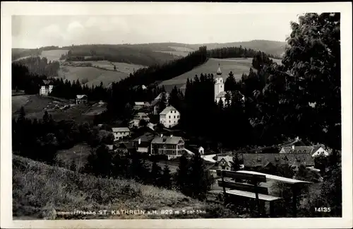 Ak St. Kathrein am Hauenstein Steiermark, schöne Detailansicht