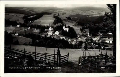 Ak St. Kathrein am Hauenstein Steiermark, schöne Detailansicht