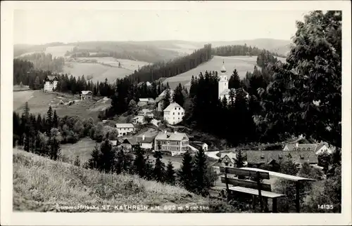 Ak St. Kathrein am Hauenstein Steiermark, schöne Detailansicht