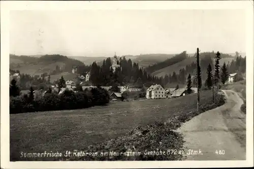 Ak St. Kathrein am Hauenstein Steiermark, schöne Detailansicht