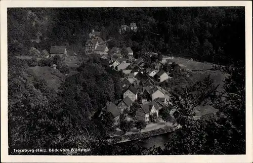 Ak Treseburg Thale im Harz, Blick auf Ortschaft vom Wildstein
