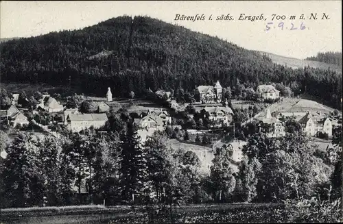 Ak Bärenfels Altenberg im Erzgebirge, Blick auf Ortschaft und Umgebung