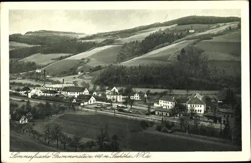 Ak Grimmenstein in Niederösterreich, schöne Detailansicht