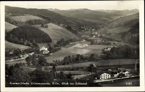 Ak Grimmenstein in Niederösterreich, schöne Detailansicht