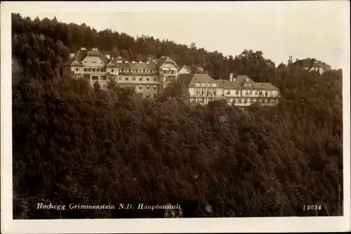 Ak Grimmenstein in Niederösterreich, schöne Detailansicht