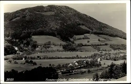 Ak Grimmenstein in Niederösterreich, schöne Detailansicht