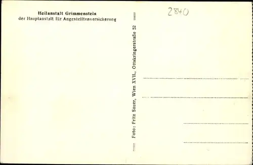 Ak Grimmenstein in Niederösterreich, schöne Detailansicht