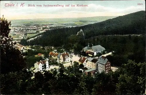 Ak Thale im Harz Sachsen Anhalt, schöne Detailansicht