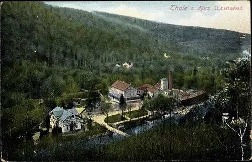 Ak Thale im Harz Sachsen Anhalt, schöne Detailansicht