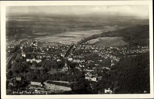 Ak Thale im Harz Sachsen Anhalt, schöne Detailansicht