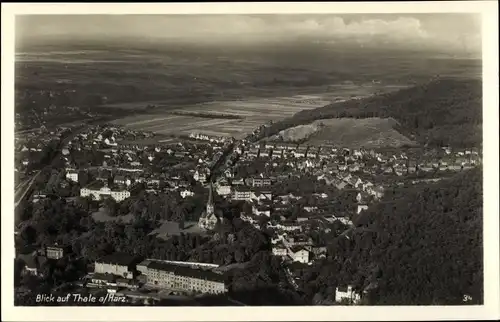 Ak Thale im Harz Sachsen Anhalt, schöne Detailansicht