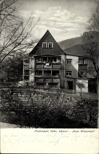 Ak Pfaffendorf Königstein an der Elbe Sächsische Schweiz, Haus Wiesenlust, Inh. Georg Schlenkrich