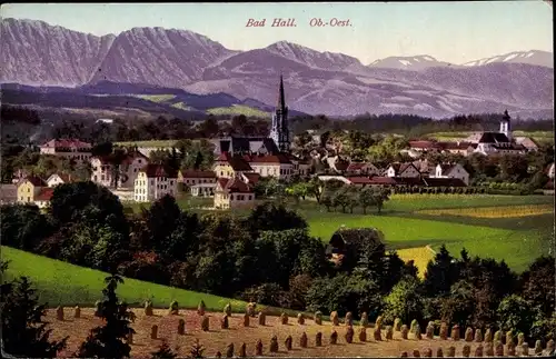 Ak Bad Hall in Oberösterreich, schöne Detailansicht