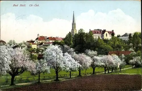 Ak Bad Hall in Oberösterreich, schöne Detailansicht