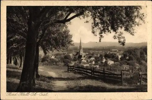 Ak Bad Hall in Oberösterreich, schöne Detailansicht