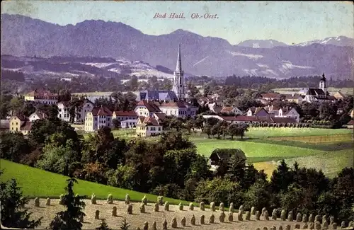 Ak Bad Hall in Oberösterreich, schöne Detailansicht