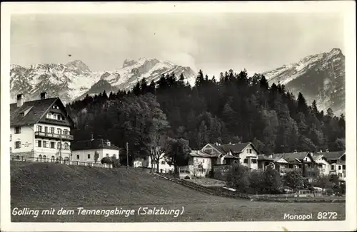 Ak Golling an der Salzach Salzburg, schöne Detailansicht