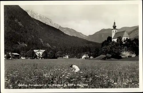 Ak Golling an der Salzach Salzburg, schöne Detailansicht