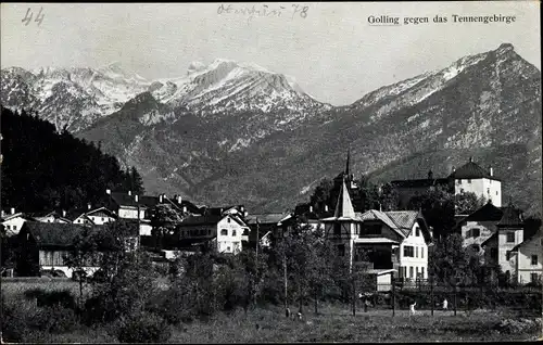 Ak Golling an der Salzach Salzburg, schöne Detailansicht