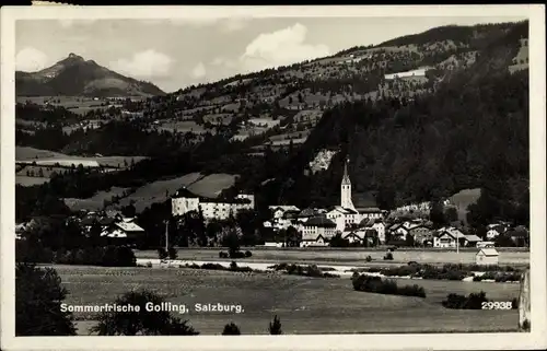 Ak Golling an der Salzach Salzburg, schöne Detailansicht