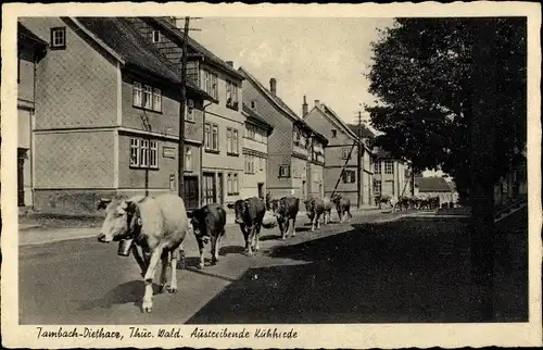 Ak Tambach Dietharz in Thüringen, schöne Detailansicht