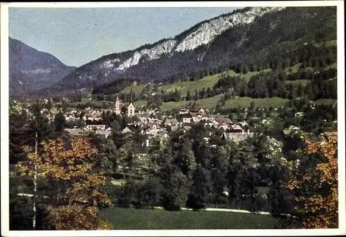 Ak Bad Goisern am Hallstättersee in Oberösterreich, schöne Detailansicht