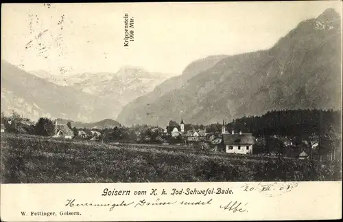 Ak Bad Goisern am Hallstättersee in Oberösterreich, schöne Detailansicht